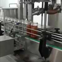 Jam Filling Machine - Stainless Steel, 220-240 Volt | Automatic Operation, High Performance, Human Machine Interface