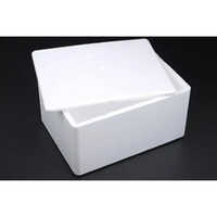 Normal Eps Thermocol Boxes - Color: White