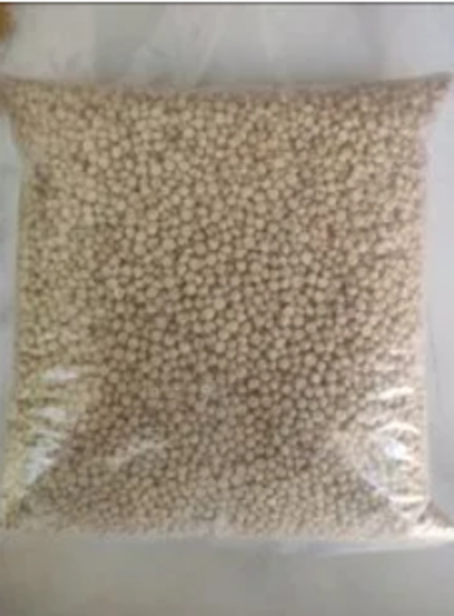 Sorghum (Jowar) millet