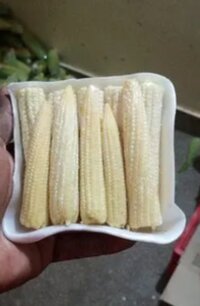 White maize