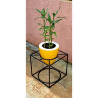 Flower Pot Stand