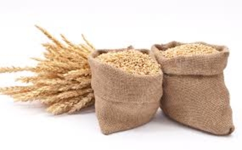 Durum Wheat