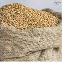 Desi Wheat