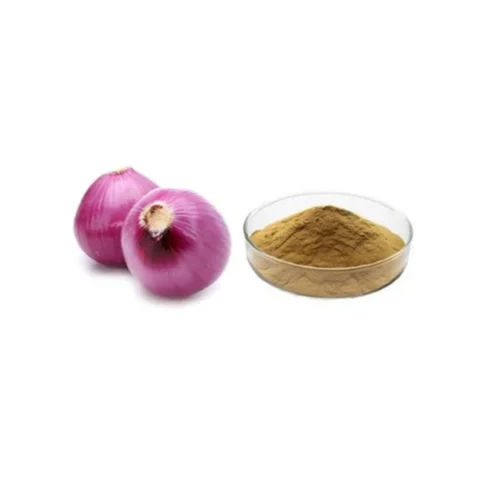 Onion Extract Powder - Shelf Life: 24-36 Months