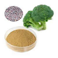 Broccoli Extract Powder - Grade: Food Grade
