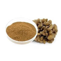 Maitake Mushroom Extract - Grade: Pharma & Food Grade