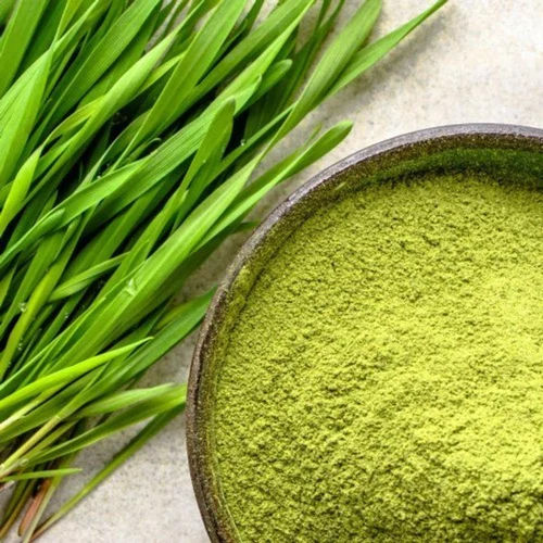 Wheat Grass Powder - Grade: Food Grade