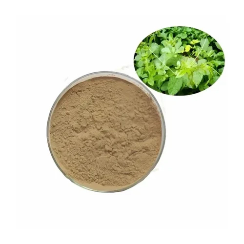 Cyanotis Vaga Extract