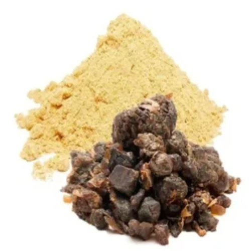 Tylophora Indica Leaf Extract