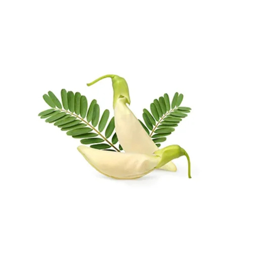 Sesbania Grandiflora Extract