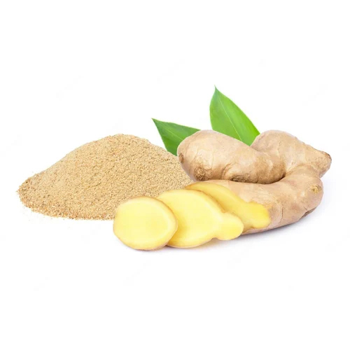 Ginger Dry Extract