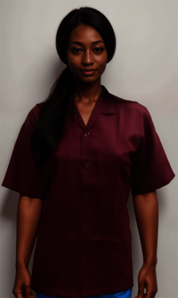 Industrial Apron 5 Button Maroon