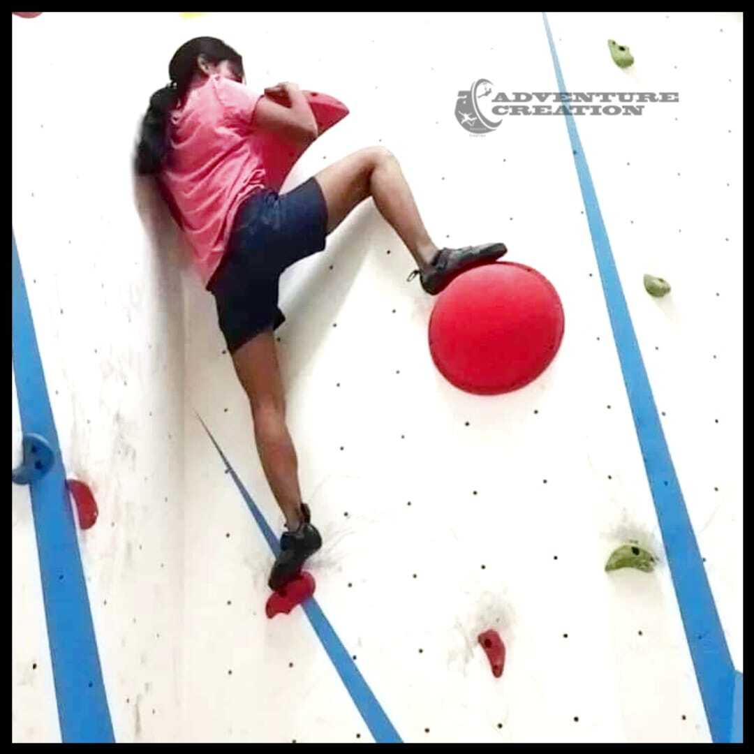 Artificial Wall Climbing Hold