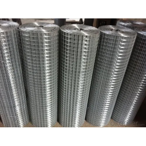 Galvanized Iron Welded Wire Mesh