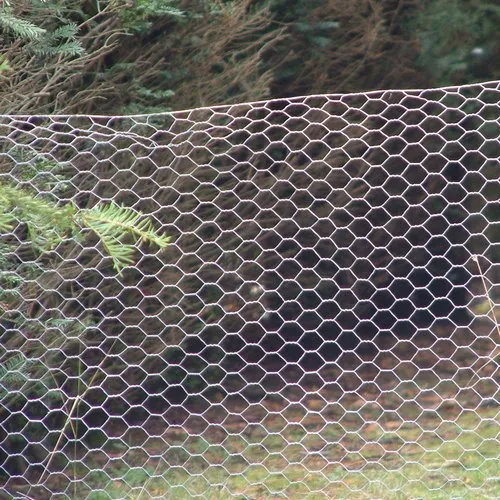 MS Chicken Mesh
