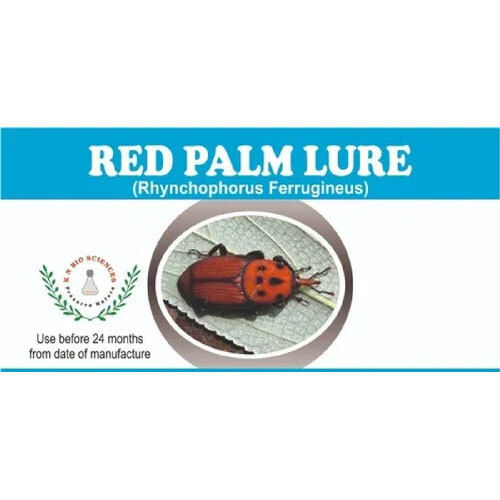 Red Palm Weevil Pheromone Trap + Lure - Application: Agriculture