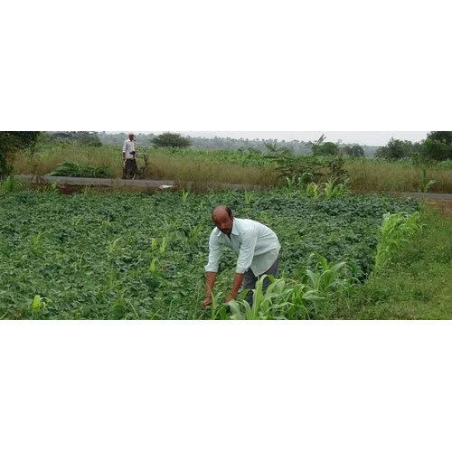 Organic Farming Consultancy