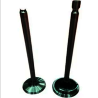 Ss Diesel Engine Valve