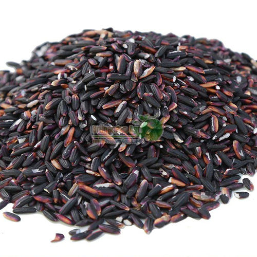 Black Rice - Origin: India