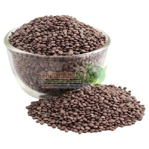 Black Masoor Dal - Origin: India