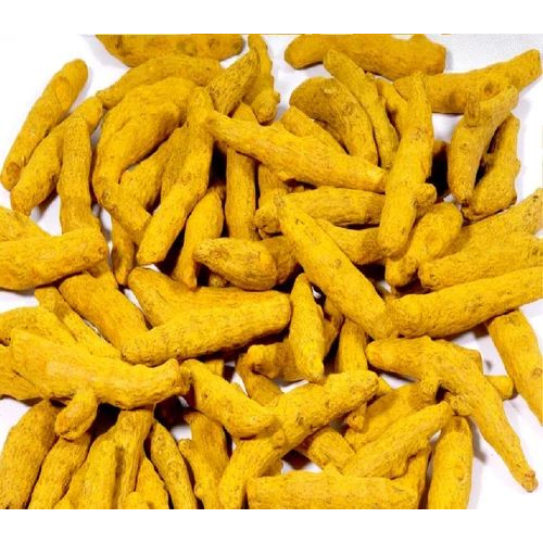 Dry Turmeric Finger