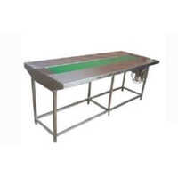 Packing Conveyor - Color: Silver