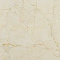 FIOMER - Sugar Beige