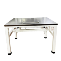 Icsi Table (antivibration Table) - Color: White