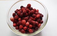 Freeze Dried Craneberry - Color: Red