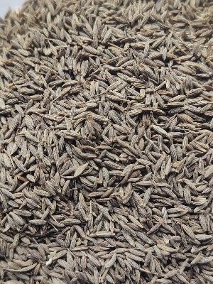 Cumin Seeds - Color: Brown