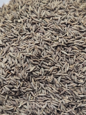 Cumin Seeds