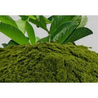 Guava Leaves Powder - Organic Fruit Extracts, Natural Herbal Product For Personal And Commercial Use, Easy To Store And Use At Room Temperature