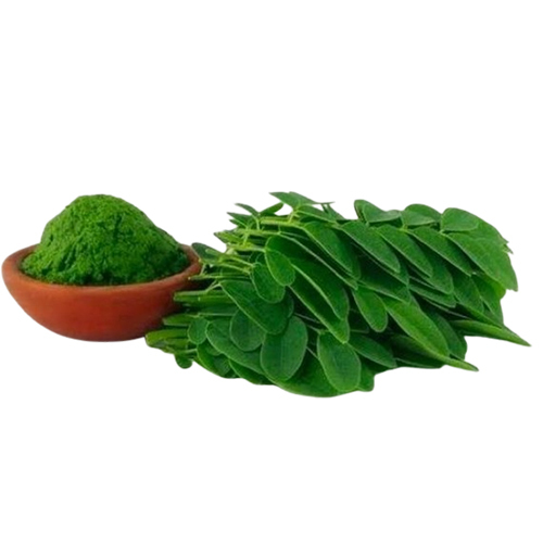 Moringa Leaves Powder