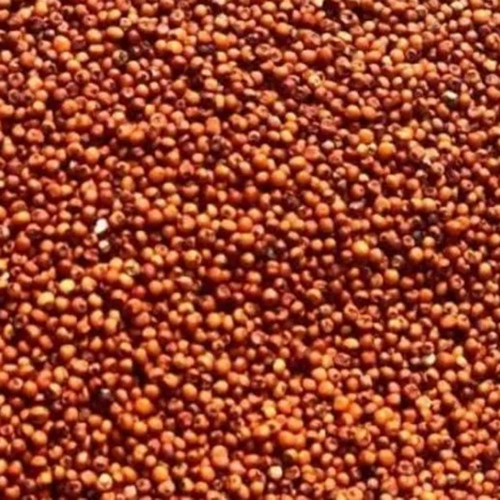 Red Ragi