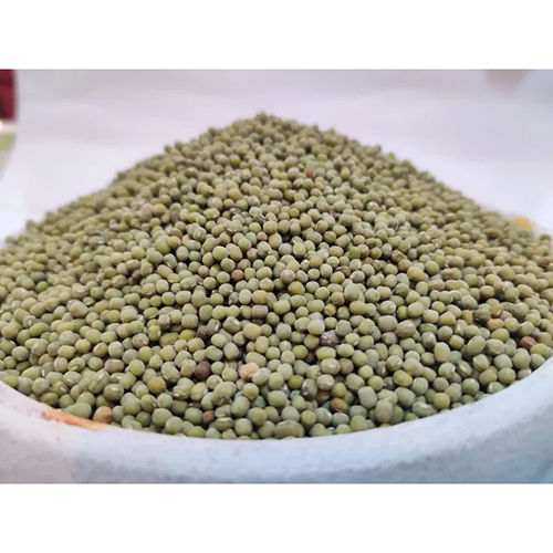 Whole Green Moong Dal - Cultivation Type: Common