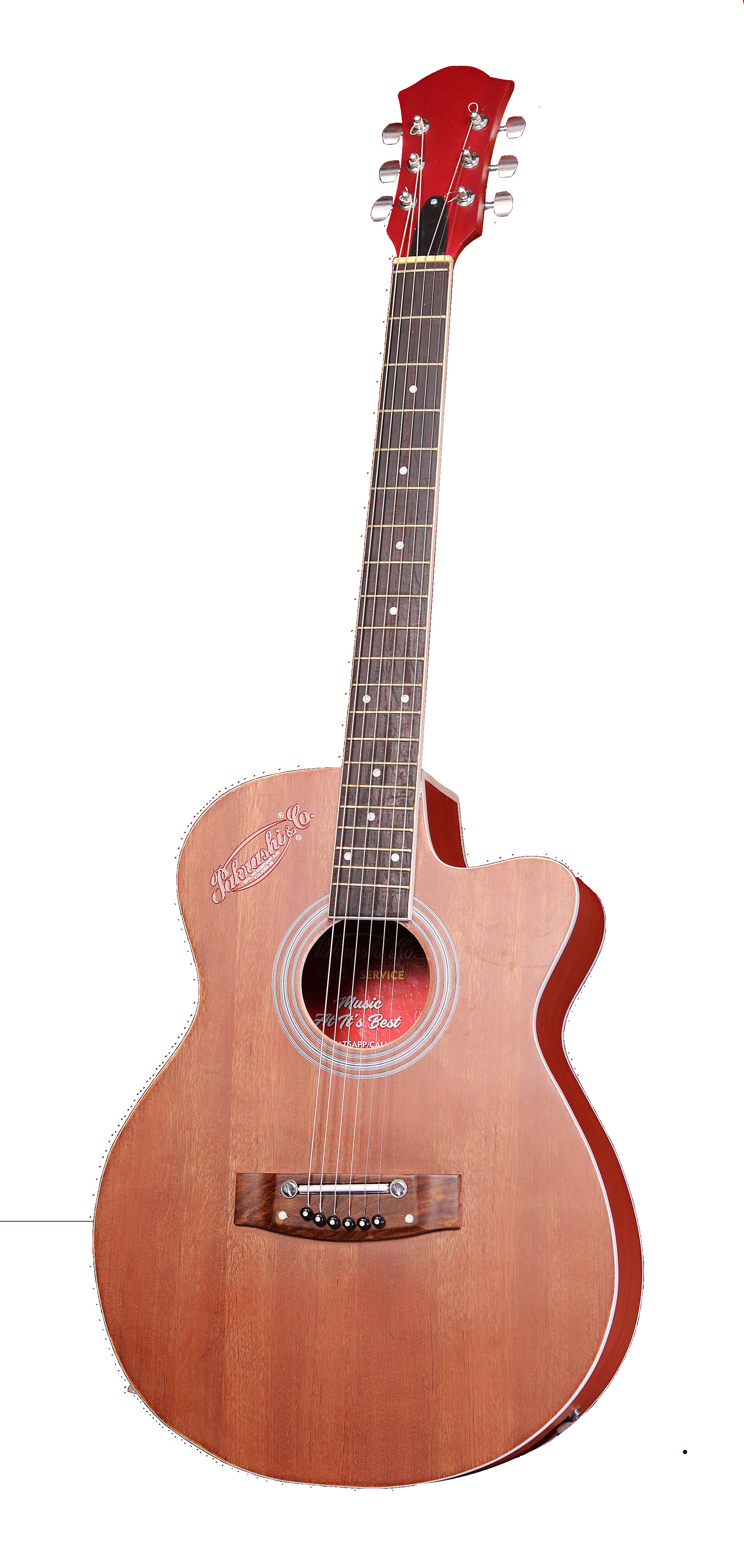 Professional Guitar - Application: Concert