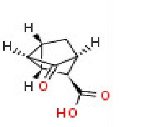 Anti-3-oxotricyclo[2.2.1.0(2,6)]heptane-7-carboxylic acid