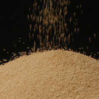 Multi Enzyme Powder - Application: Water