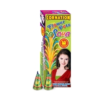 फूलों के बर्तन अशोक।