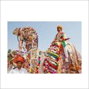 कैमल सेवाएँ