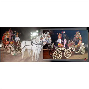 बैग्गी व्यवस्था