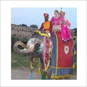 शादी के लक्ष्यों के लिए हाथी