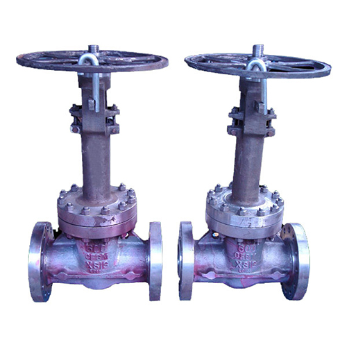 Xsis Extended Bonnet Gate Valve