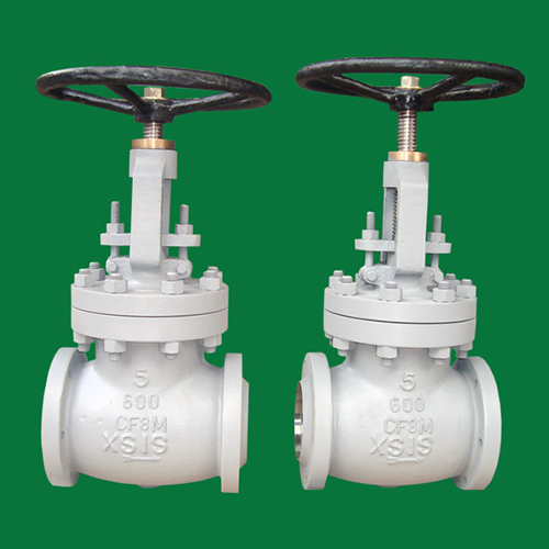 Xsis Globe Valves