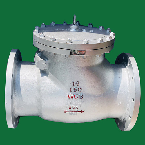 Xsis Non Return Valves - Application: Industrial