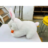 Carrot Rabbit Teddy Bear - Plush, White | Age 2-5, Soft Rabbit Toy For Cuddly Playtime And Comfort