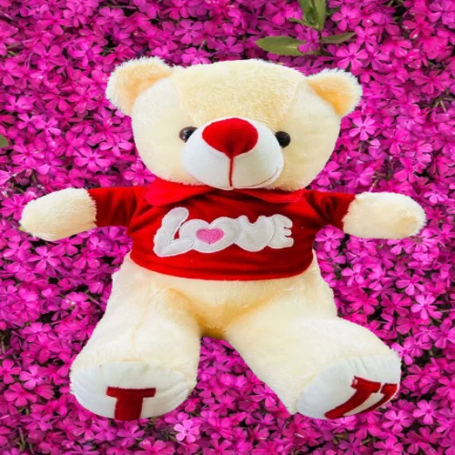 Jacket Teddy Bear