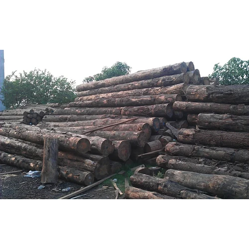 Natural Pine Wood Logs