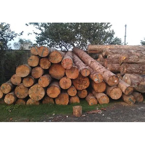 Pine Wood Logs