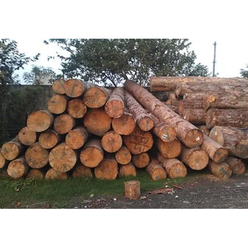 Spruce Wood Lumber